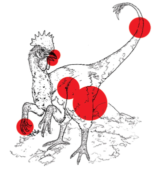 Illustration for article titled Why Do We Keep Going Back to Jurassic Park?
